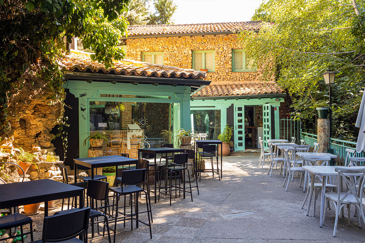 laurea-patio